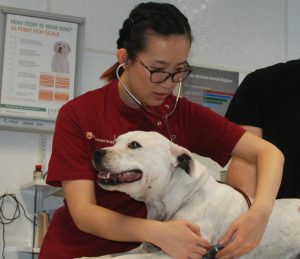 Dr Chloe Ye