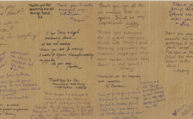 7 Student thank you card