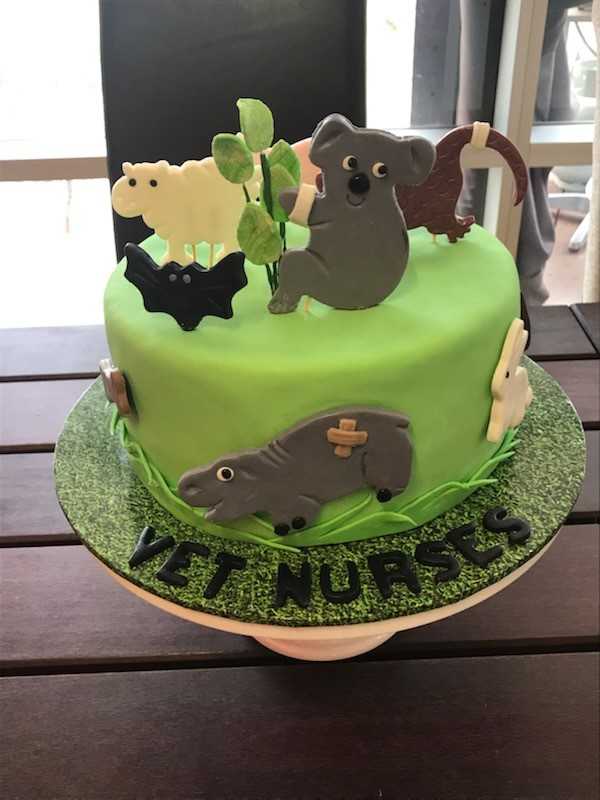 Vet nurses day cake