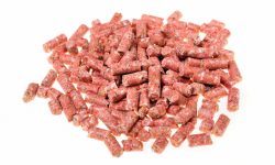 Keeping your dog safe from rat bait