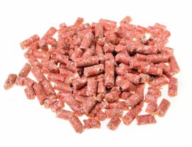 Keeping your dog safe from rat bait