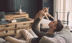 Desexing: Can it wait?